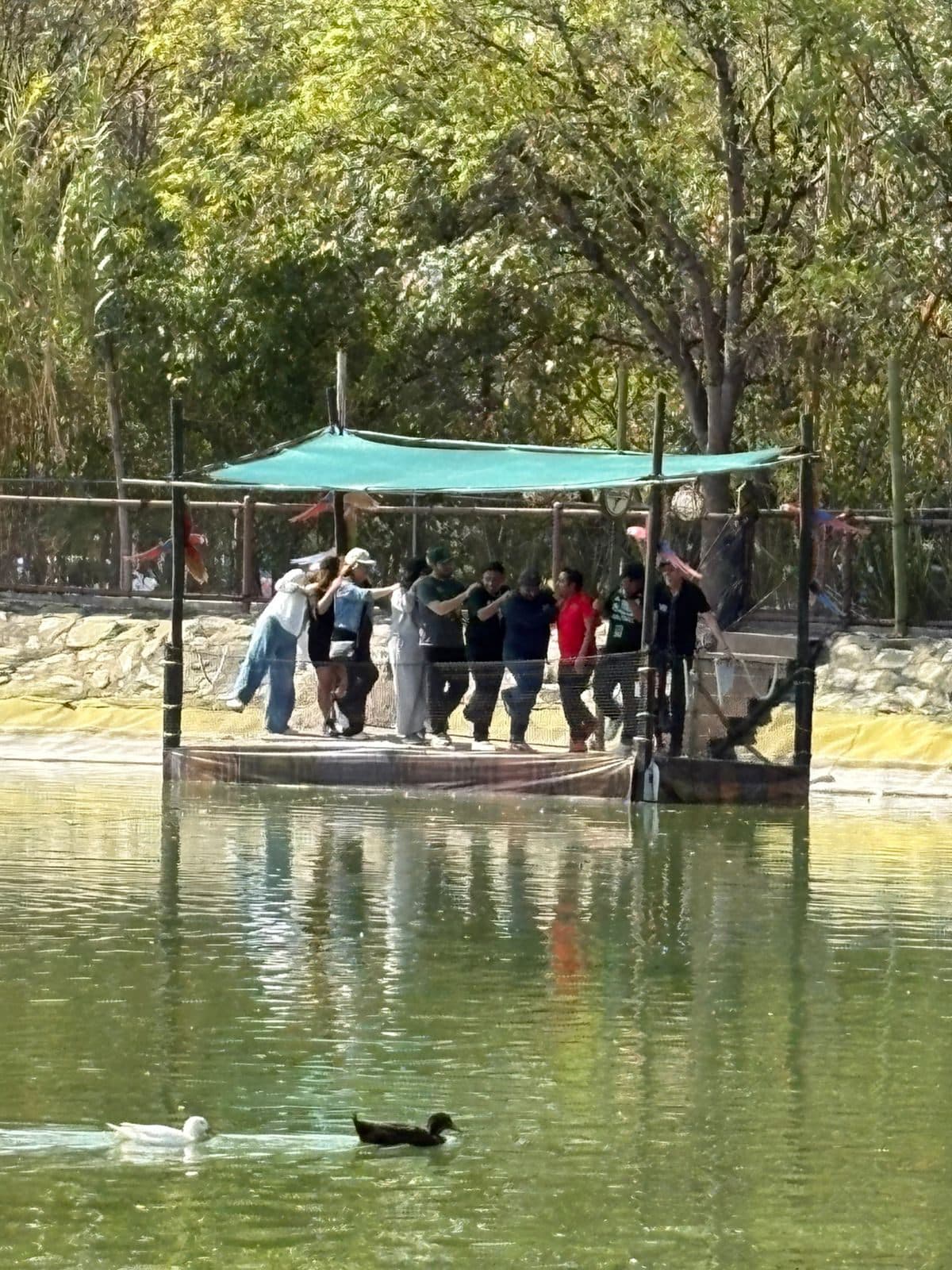 La balsa vista desde la orilla, con los patos en primer plano