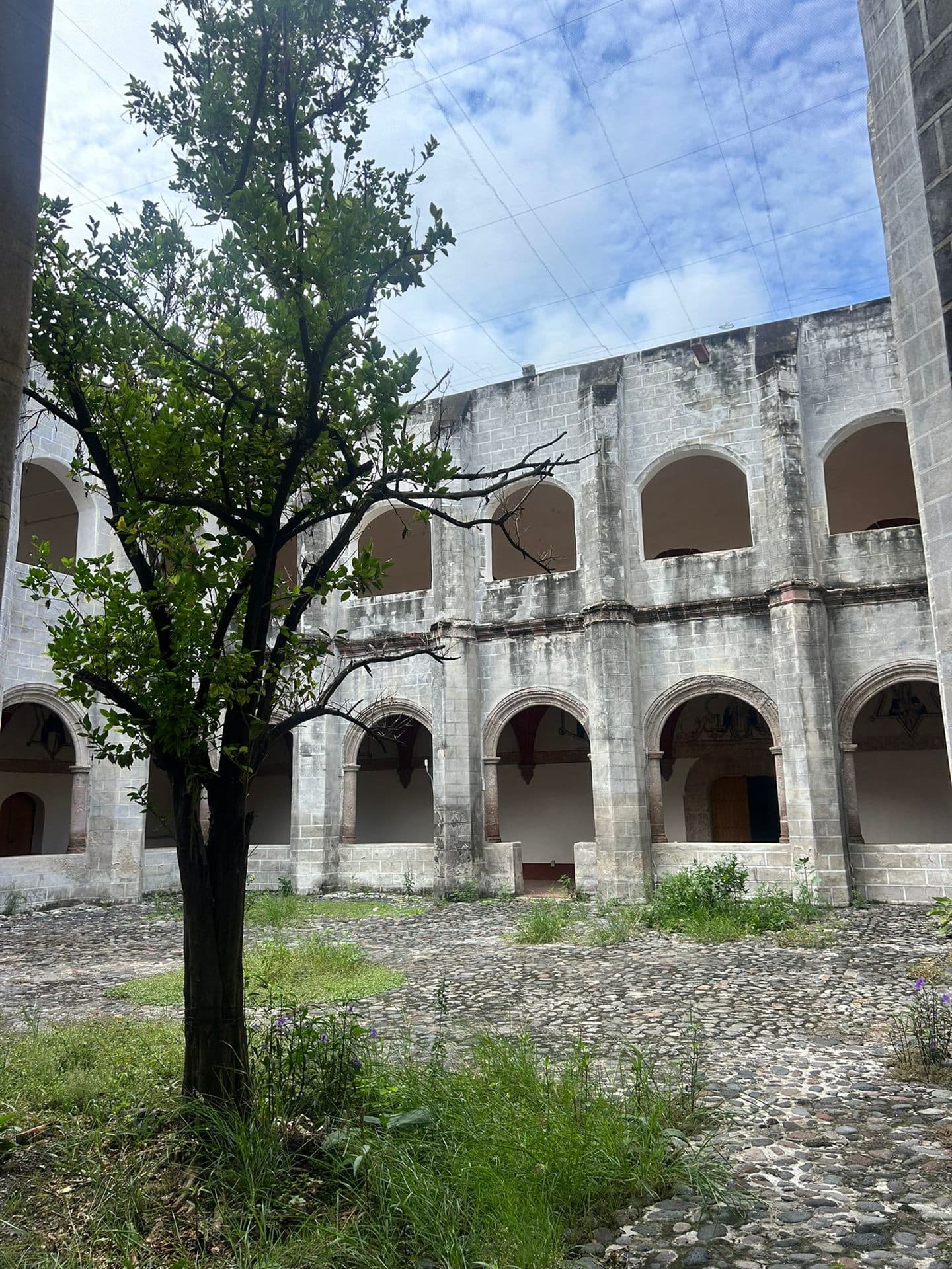 El claustro con su arboleda, desde el corredor