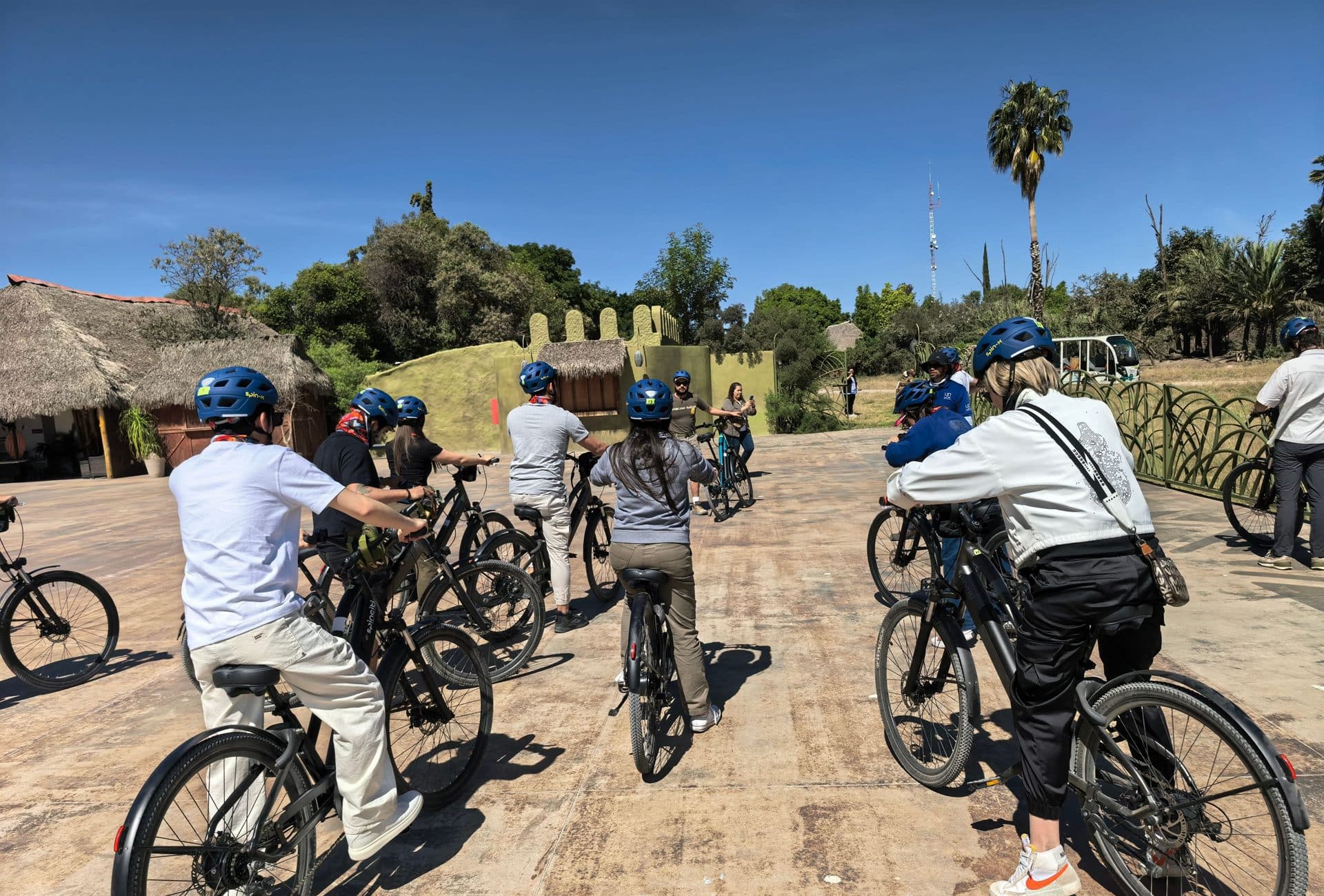 El pelotón rodando junto, por el camino empedrado