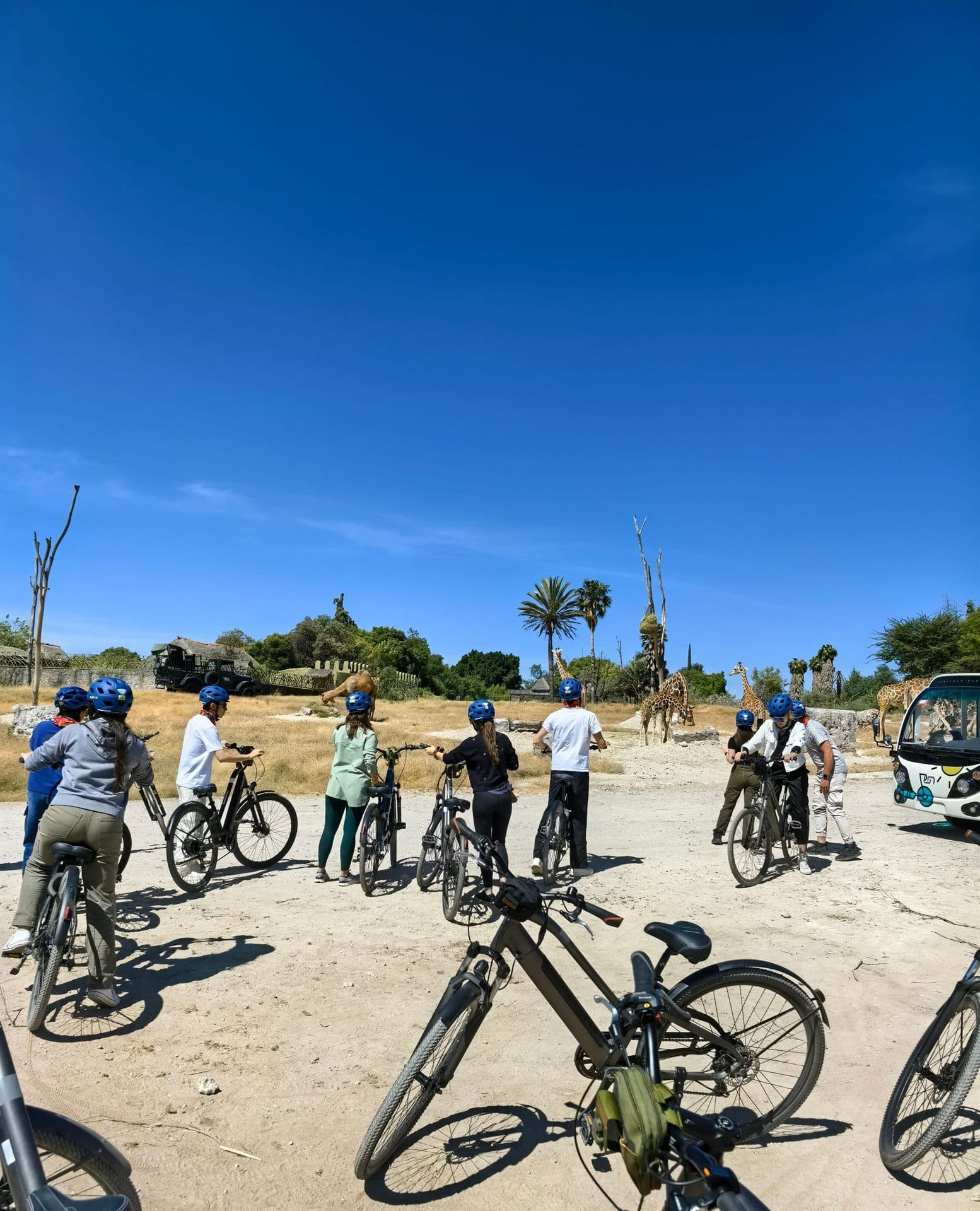 Las bicis en el suelo durante una parada, con el grupo delante