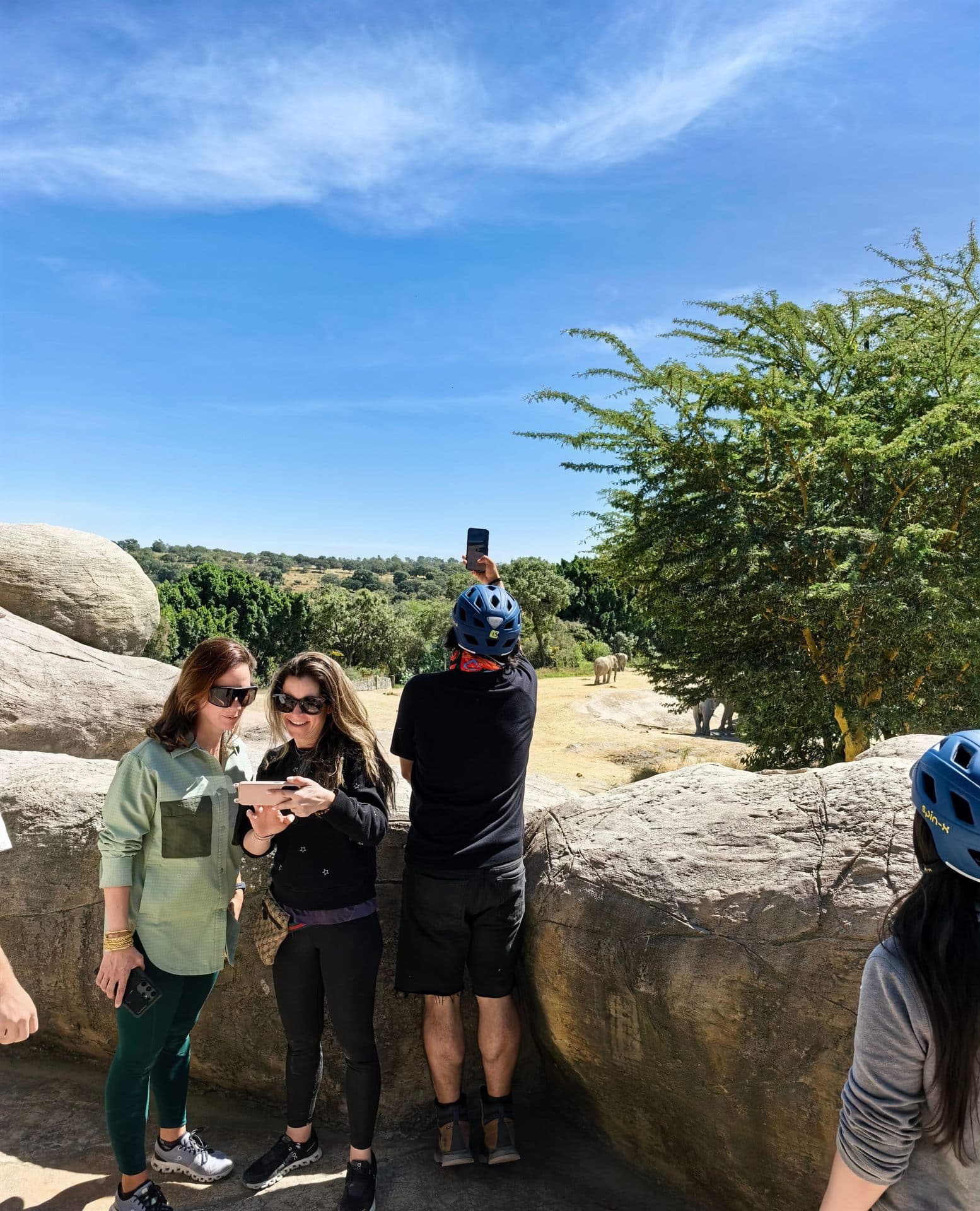 En el mirador, fotografiando a los elefantes