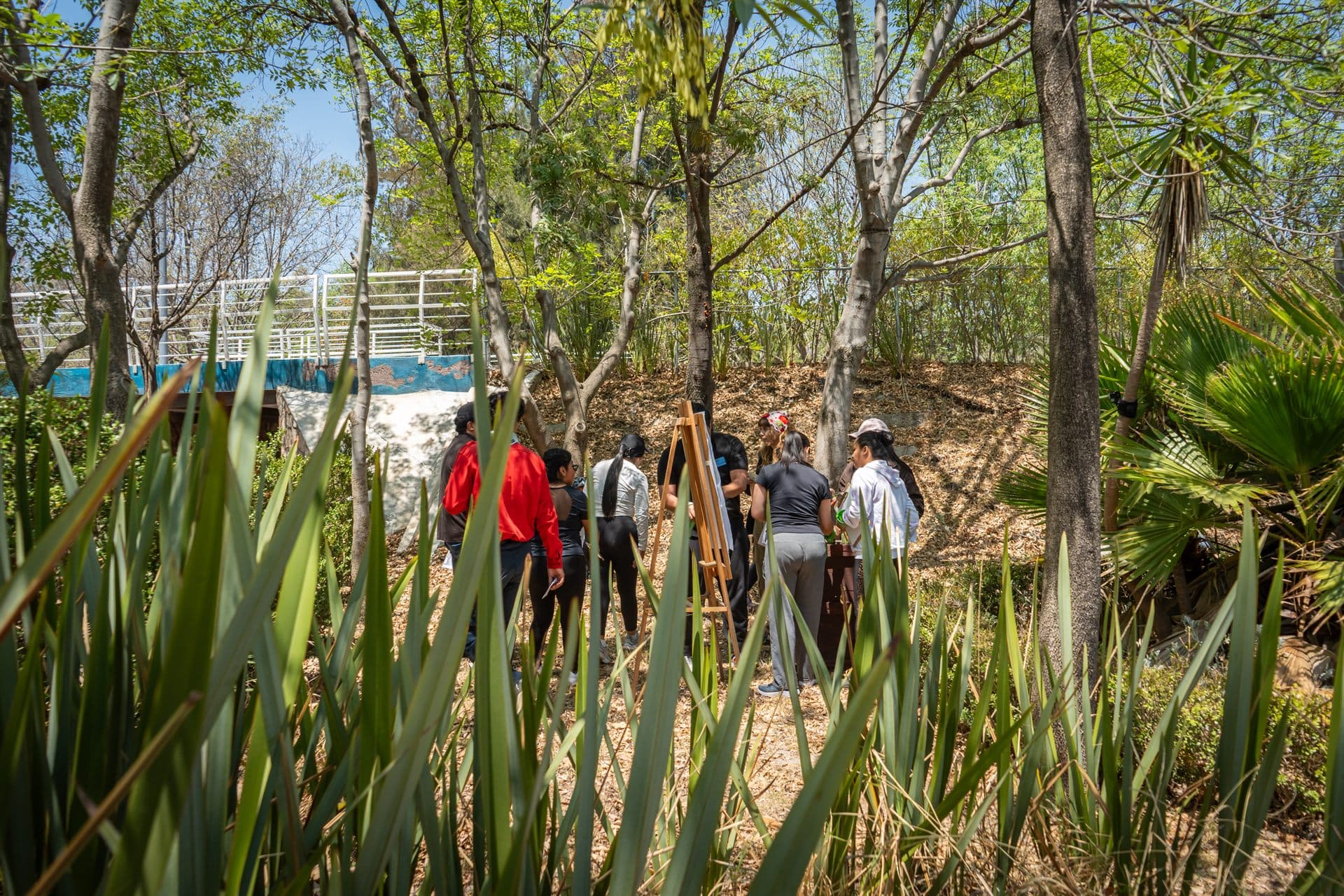 Equipo corporativo en el Desafío de Orientación Estratégica (30)