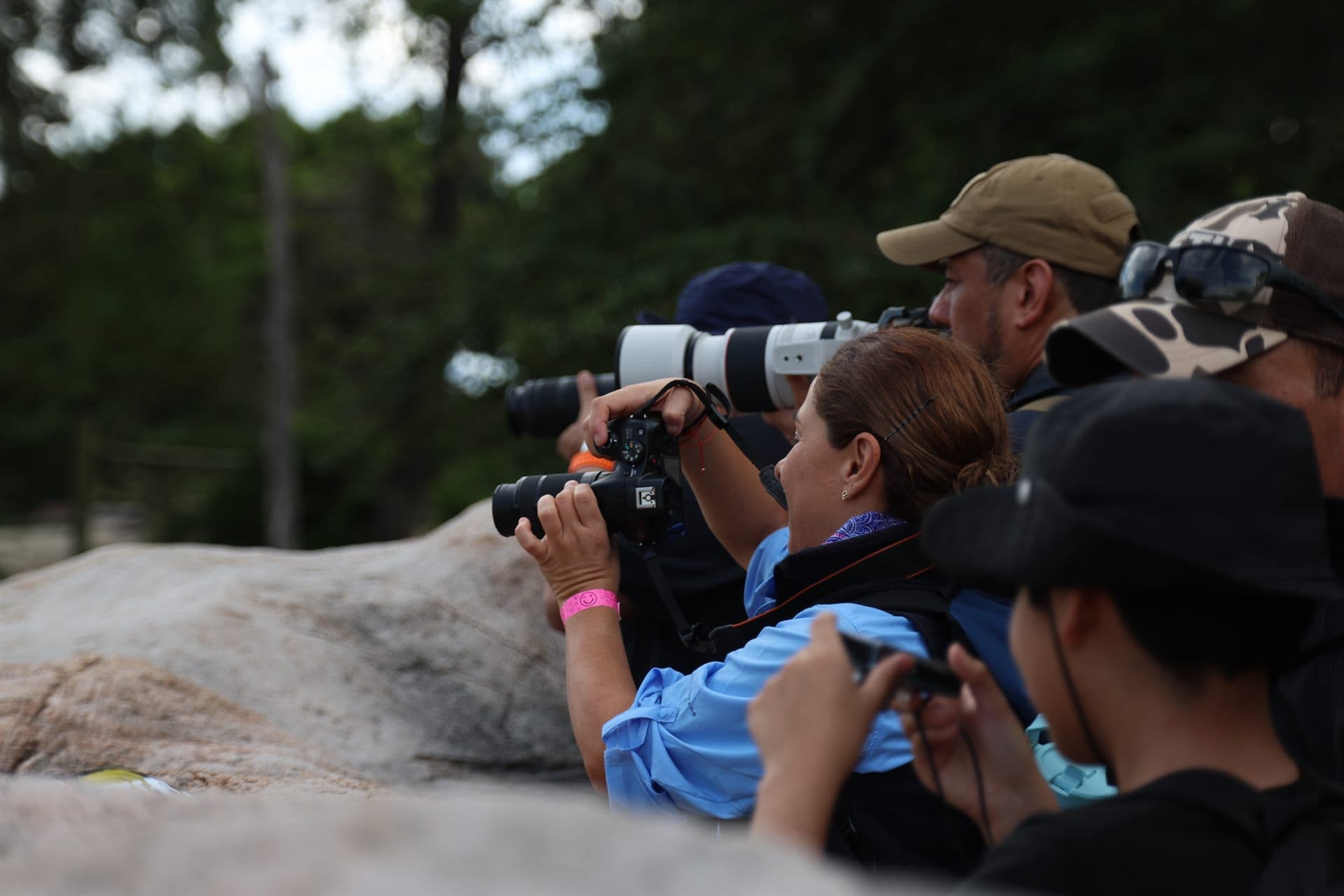 Safaris Fotográficos en la Naturaleza. Participantes del safari con sus teleobjetivos apoyados en una roca del parque
