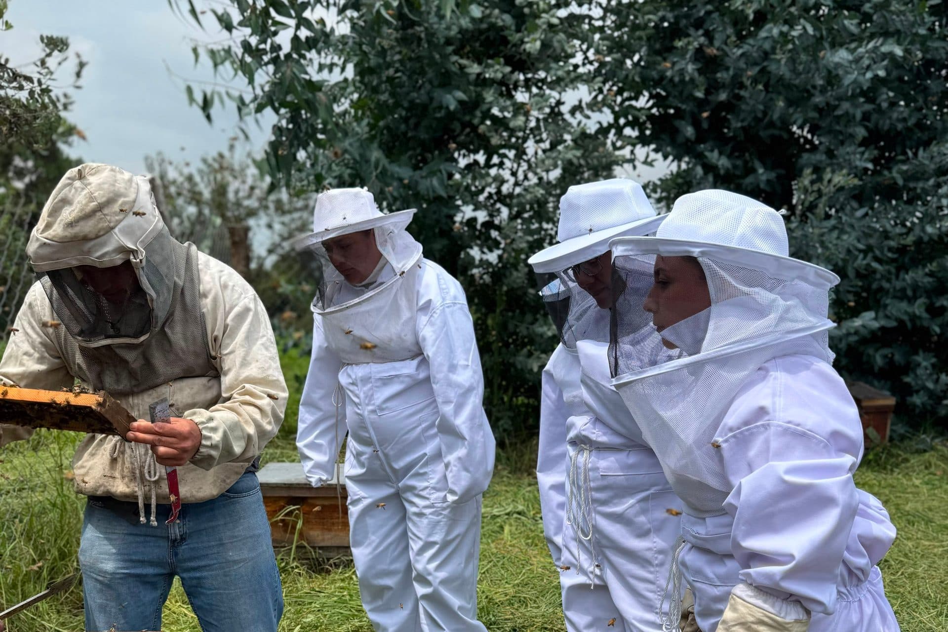 El grupo reunido junto a la colmena, en el campo