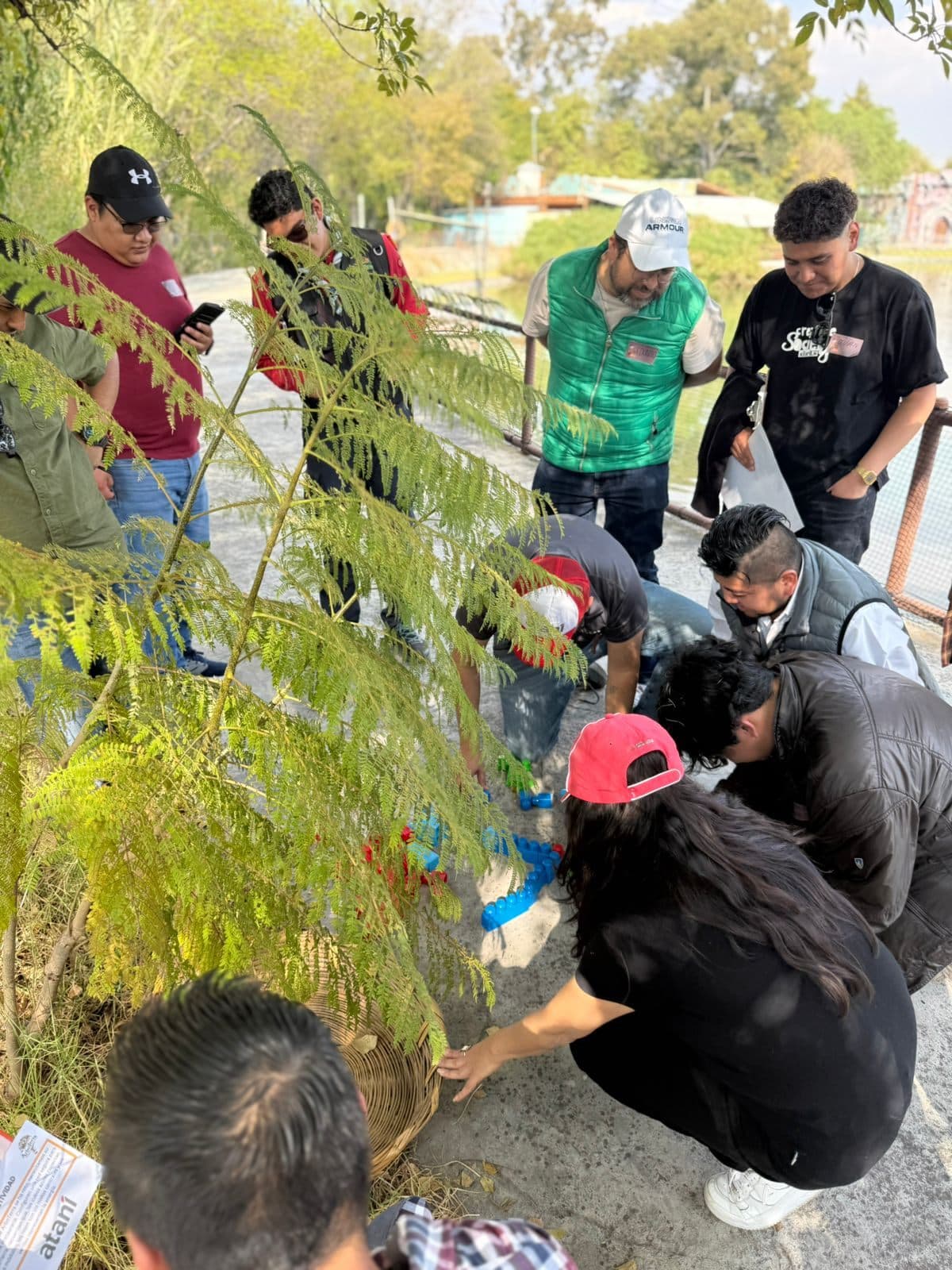 La actividad en el muro verde