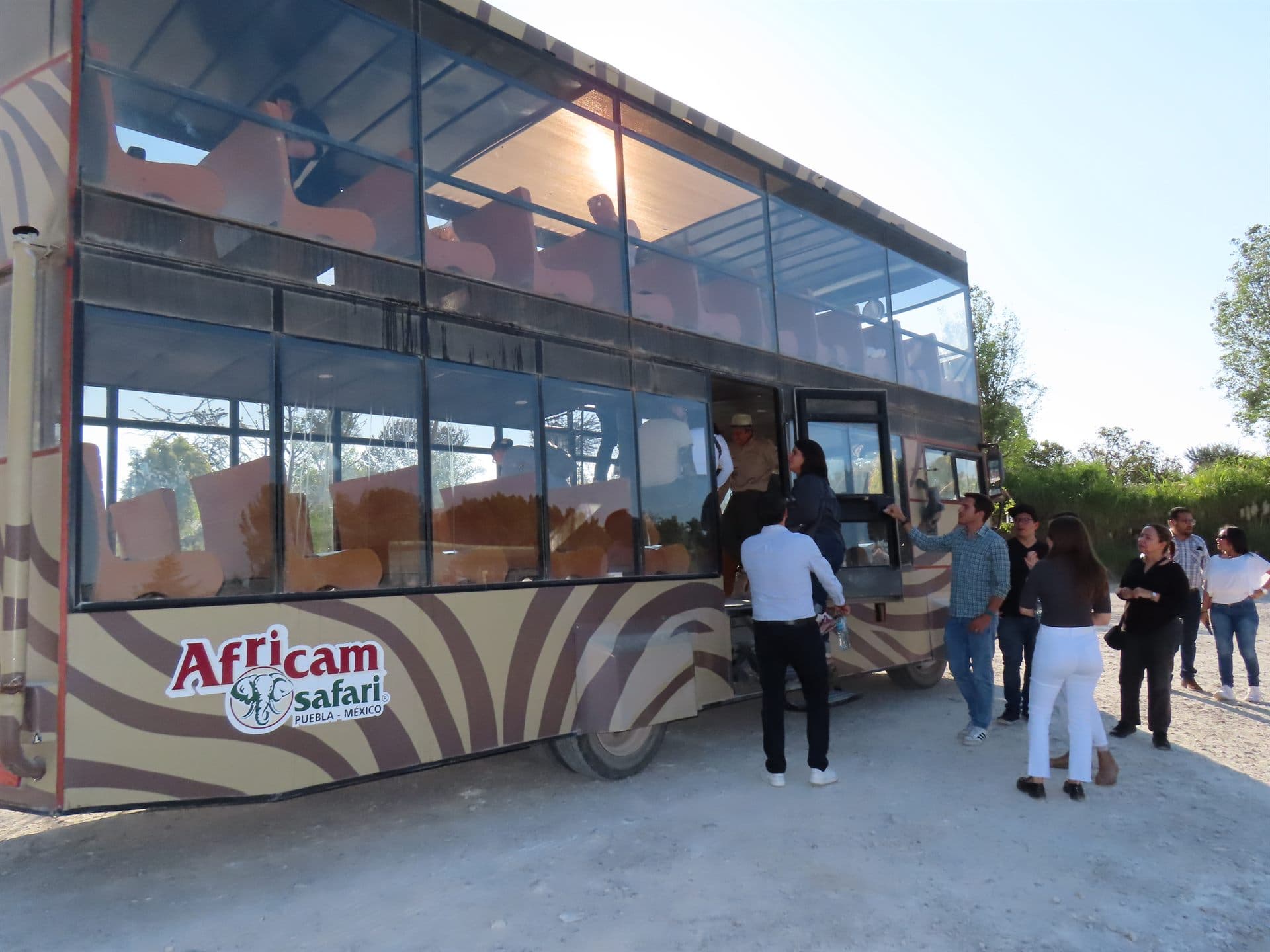 El autobús por fuera, con su librea de cebra