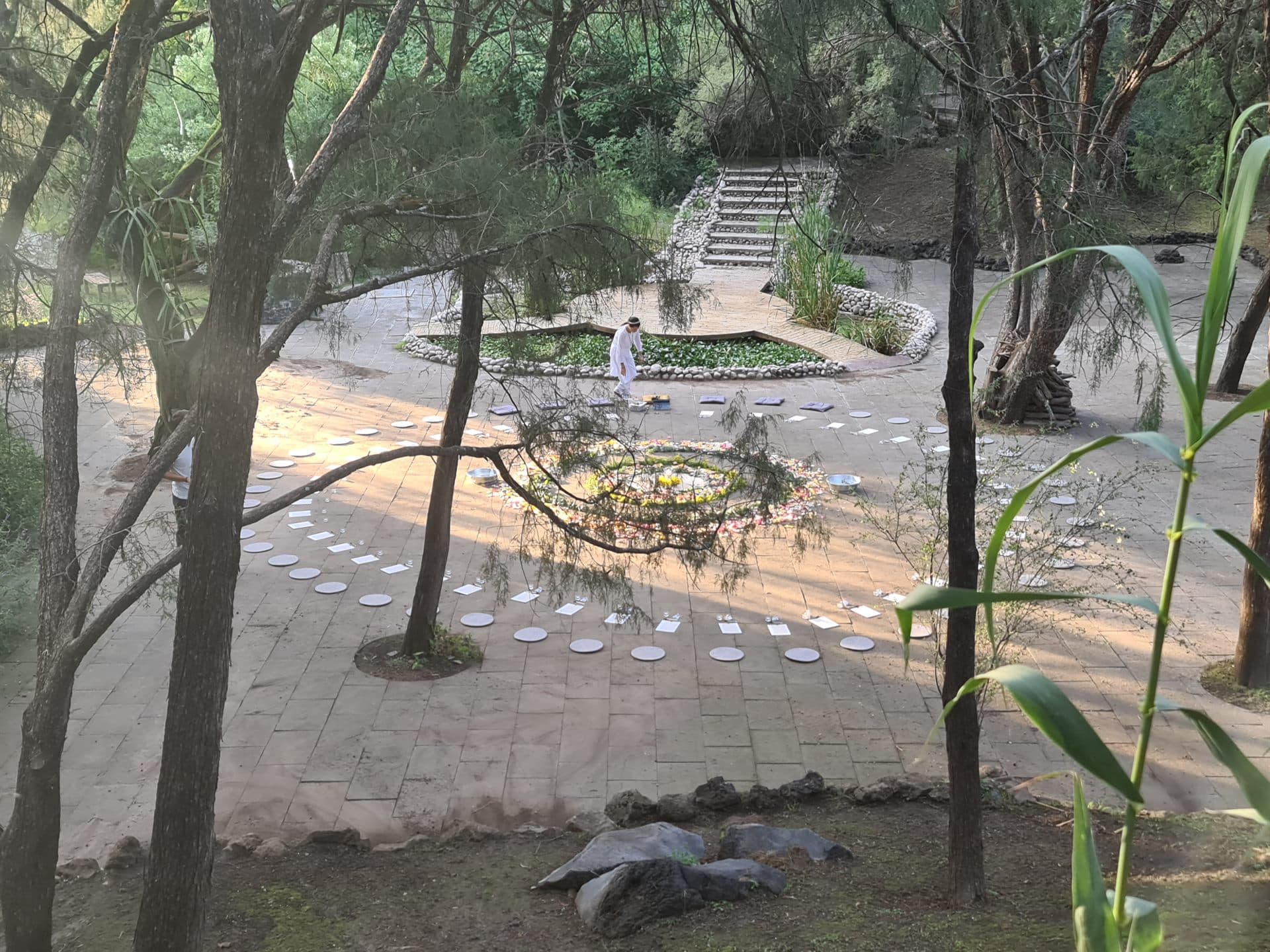 El jardín botánico con el círculo montado, a contraluz