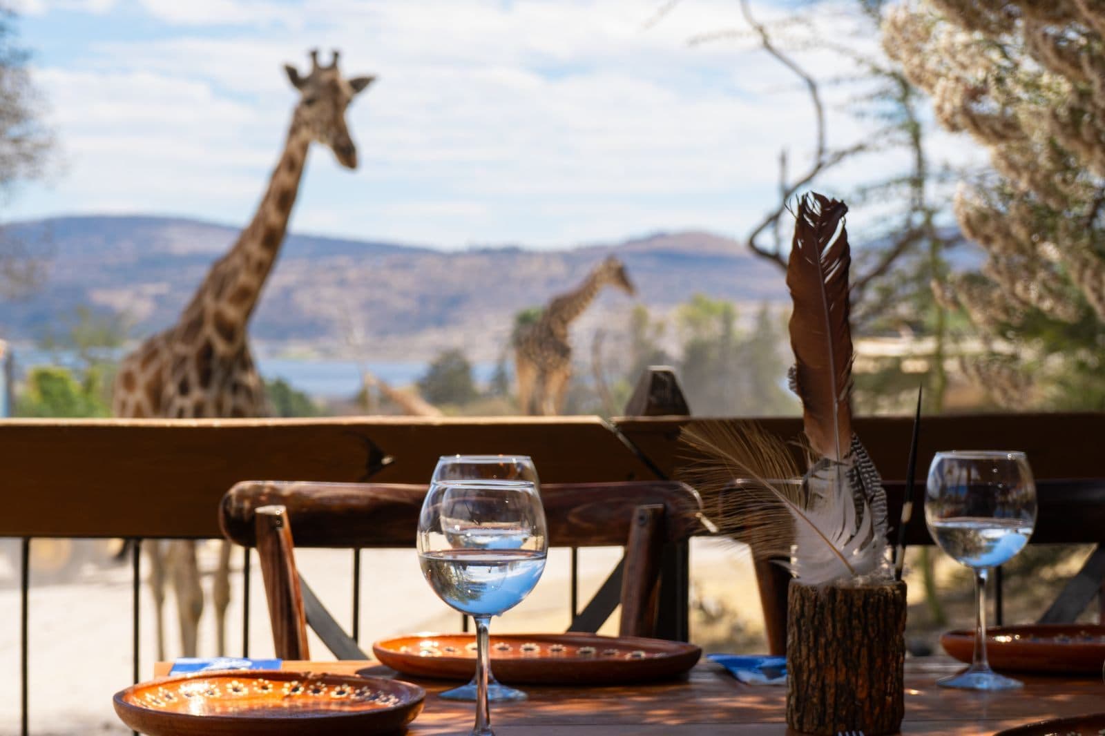 Mesa puesta con vista abierta al safari: dos jirafas al fondo
