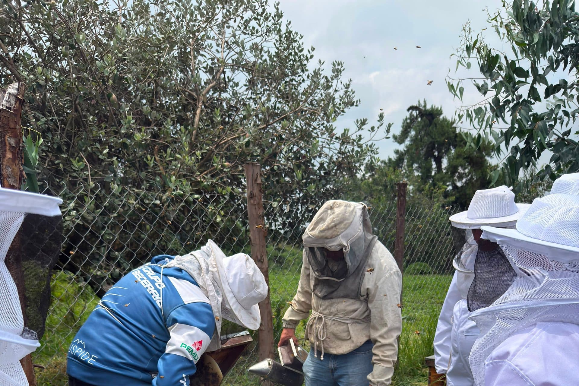 El grupo trabajando el apiario, con las cajas de fondo