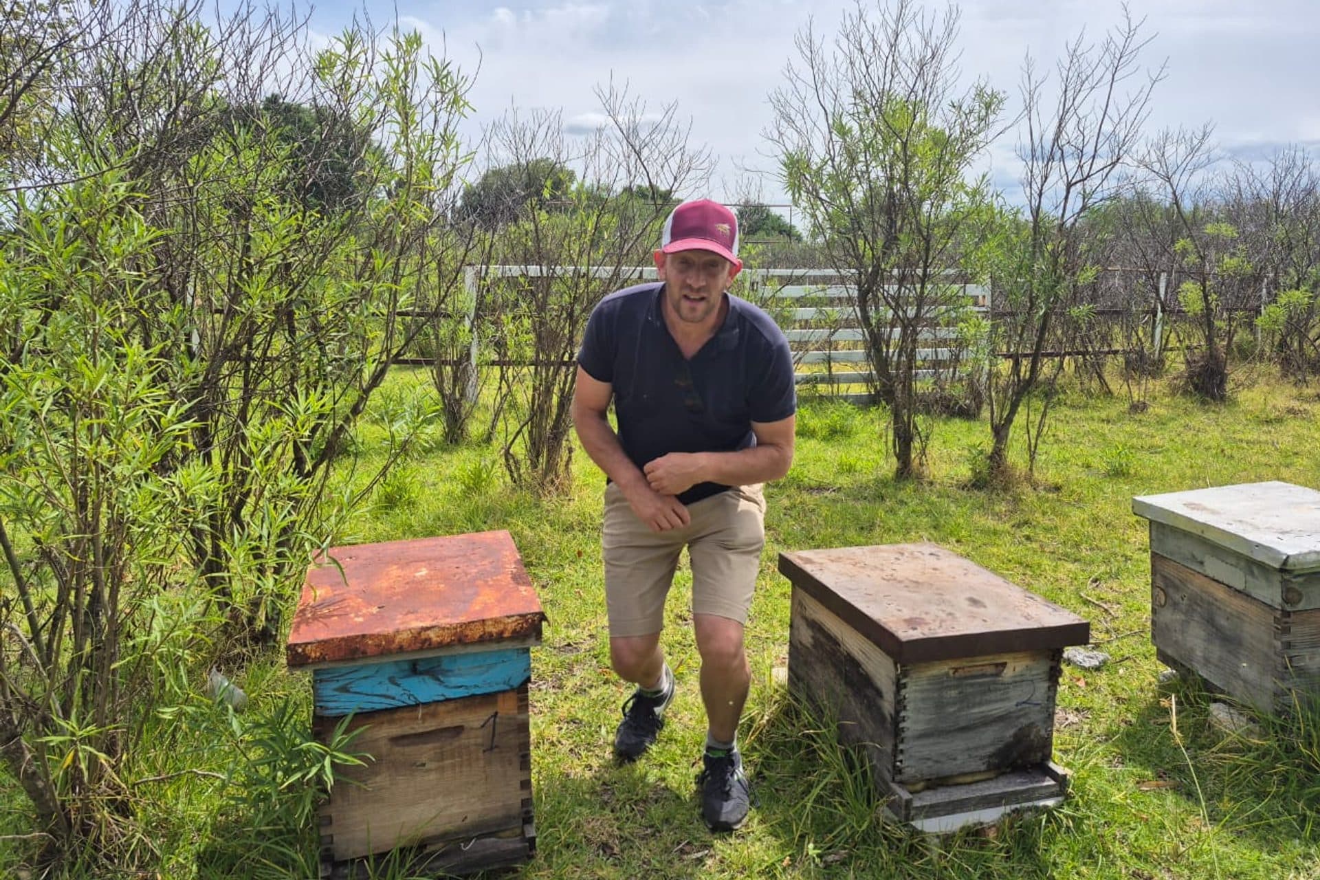 El apicultor entre las cajas, en el rancho de Cuanala