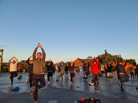 Grupo en postura de árbol durante una clase de yoga al atardecer