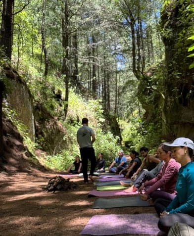 Meditación en círculo sobre tapetes, en un cañón boscoso