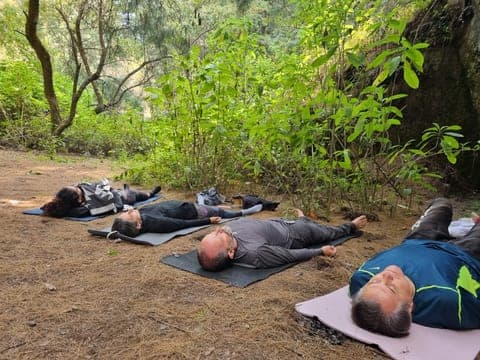 Participantes en savasana sobre tapetes, en el bosque