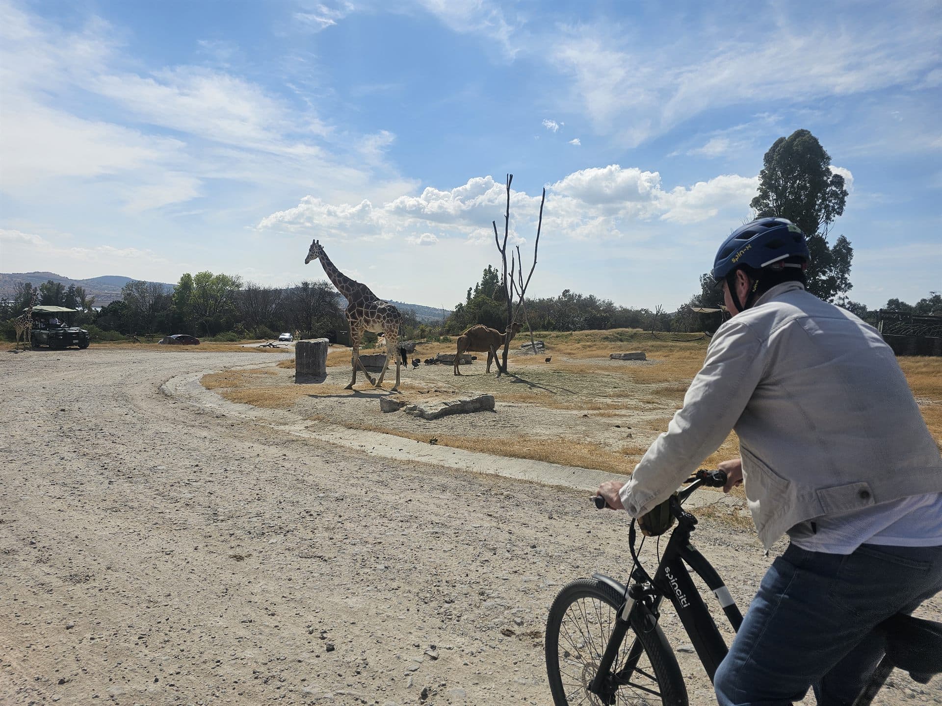 Pedaleando hacia las jirafas, por el camino de terracería