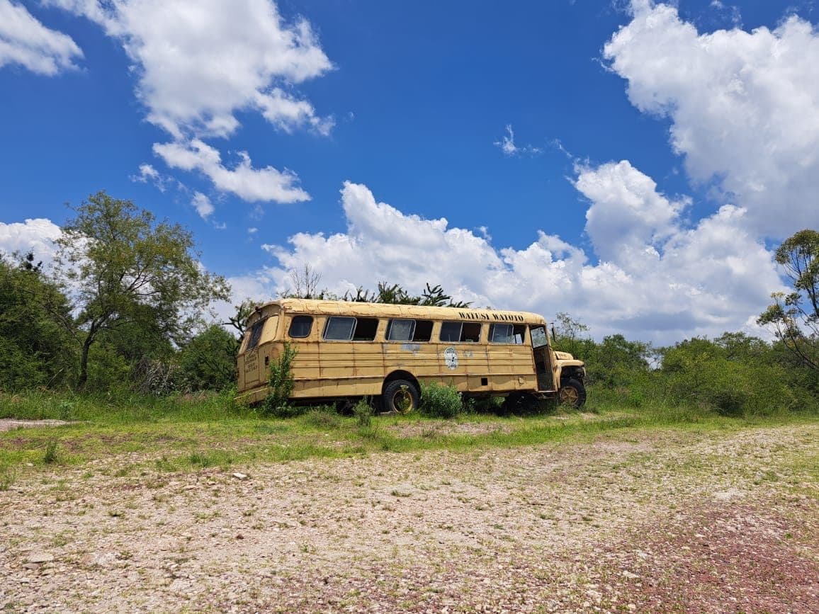 Campamento Watusi Watoto, Africam Safari